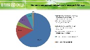 информация по исполнению бюджета за 9 м19-4